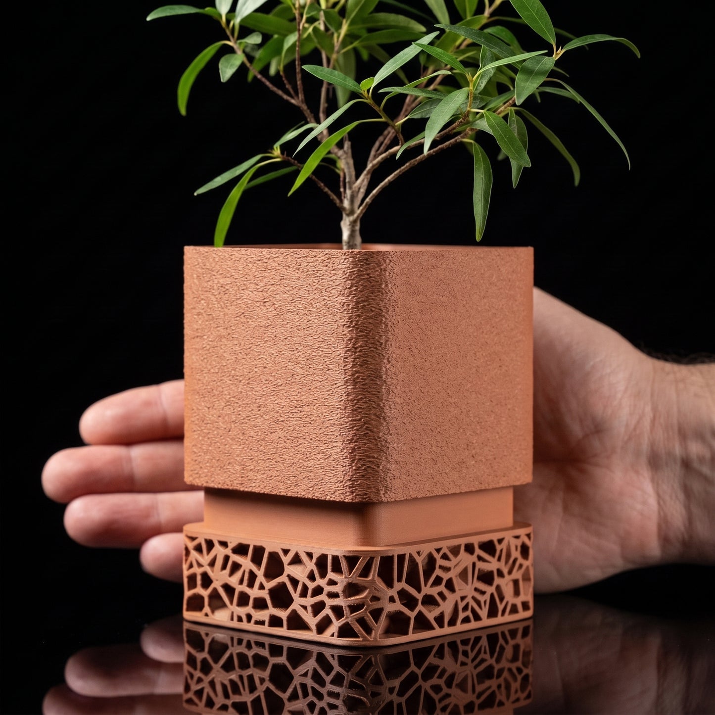 Macetero Voronoi — Diseño Geométrico para Plantas